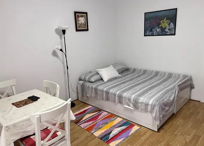 Comfy Apartment Premantura